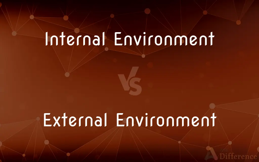 Internal Environment vs. External Environment — What's the Difference?