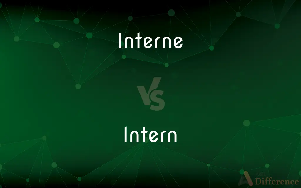 Interne vs. Intern — What's the Difference?