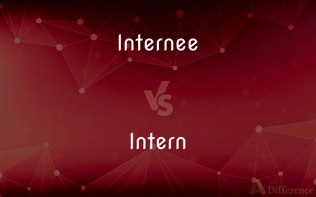 Internee vs. Intern — What's the Difference?