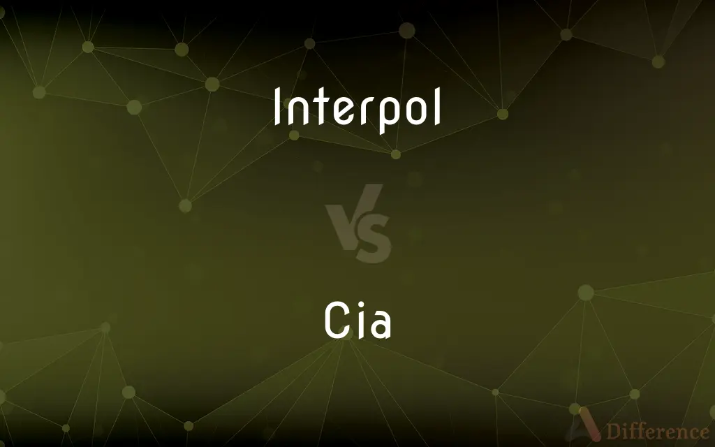 Interpol vs. Cia — What's the Difference?