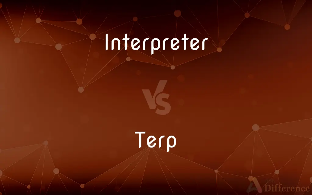 Interpreter vs. Terp — What's the Difference?