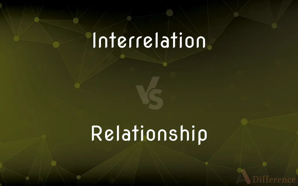 Interrelation vs. Relationship — What's the Difference?