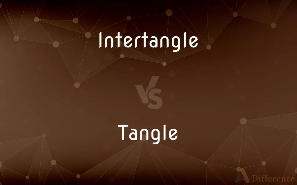 Intertangle vs. Tangle — What's the Difference?