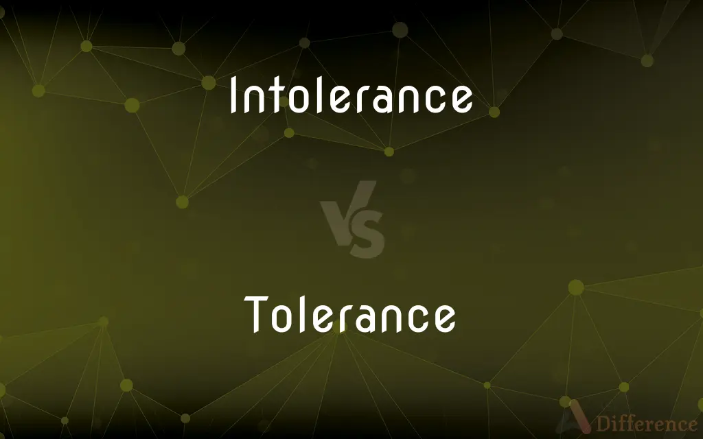 Intolerance vs. Tolerance — What's the Difference?