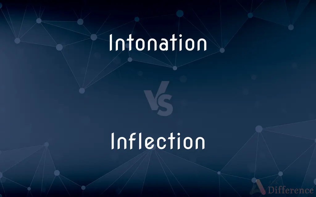 Intonation vs. Inflection — What's the Difference?