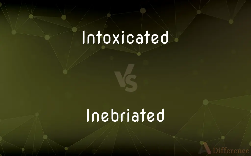 Intoxicated vs. Inebriated — What's the Difference?