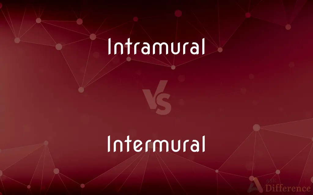 Intramural vs. Intermural — What's the Difference?
