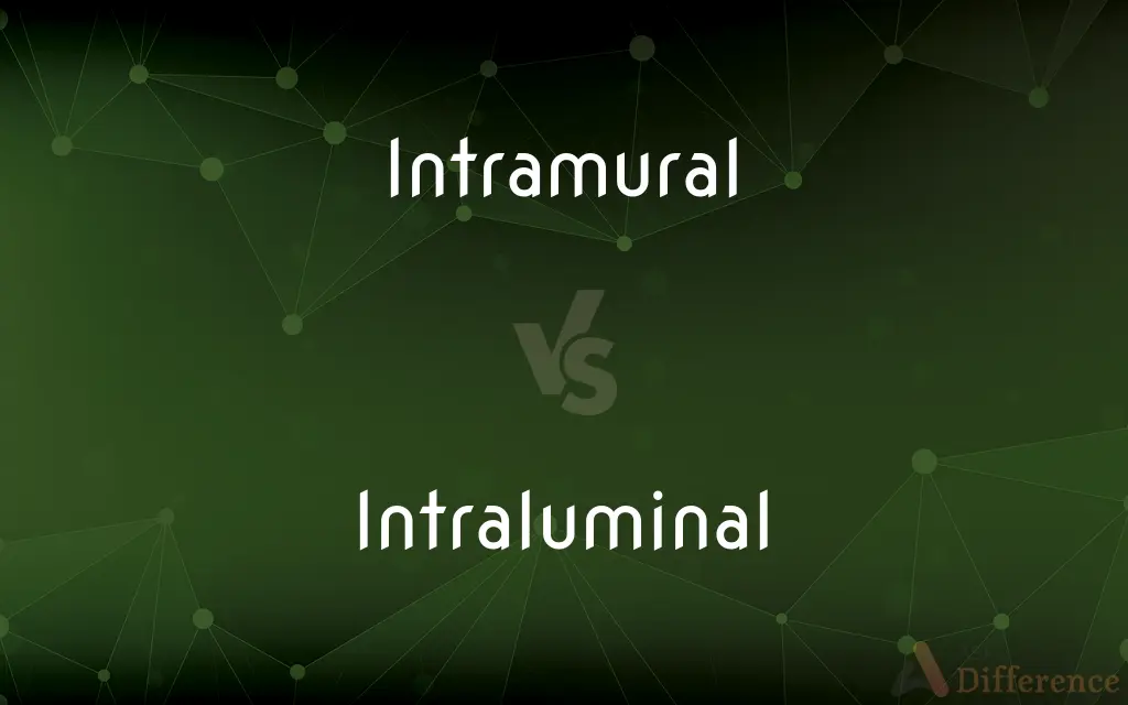 Intramural vs. Intraluminal — What's the Difference?