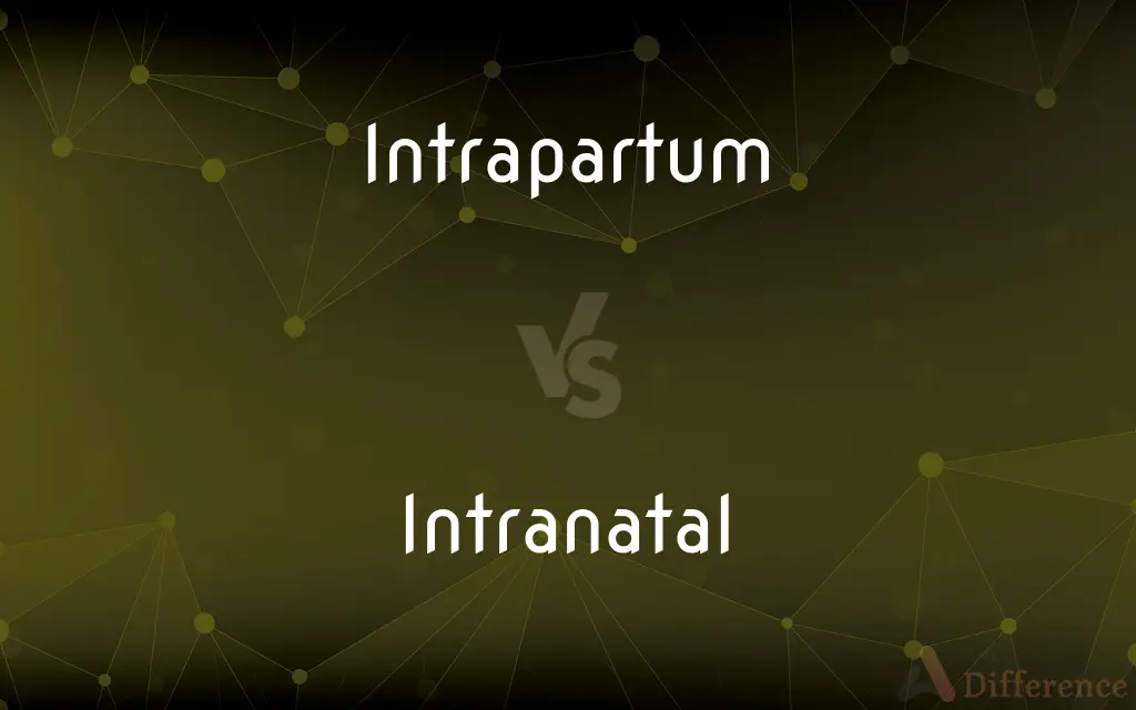 Intrapartum vs. Intranatal — What's the Difference?