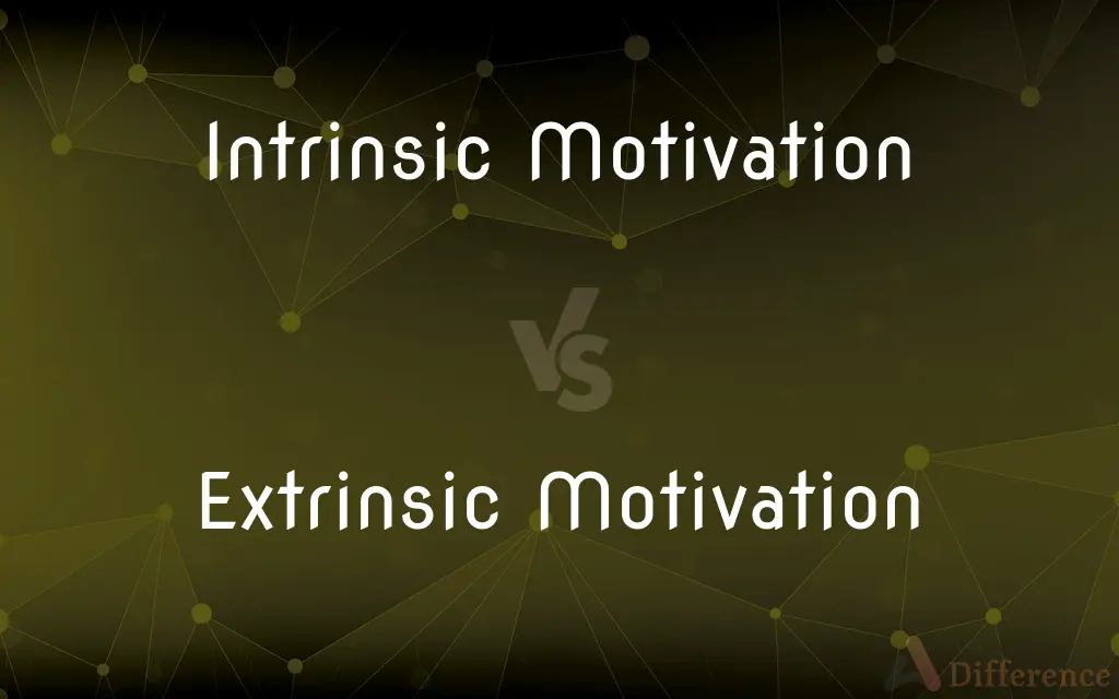 Intrinsic Motivation vs. Extrinsic Motivation — What's the Difference?