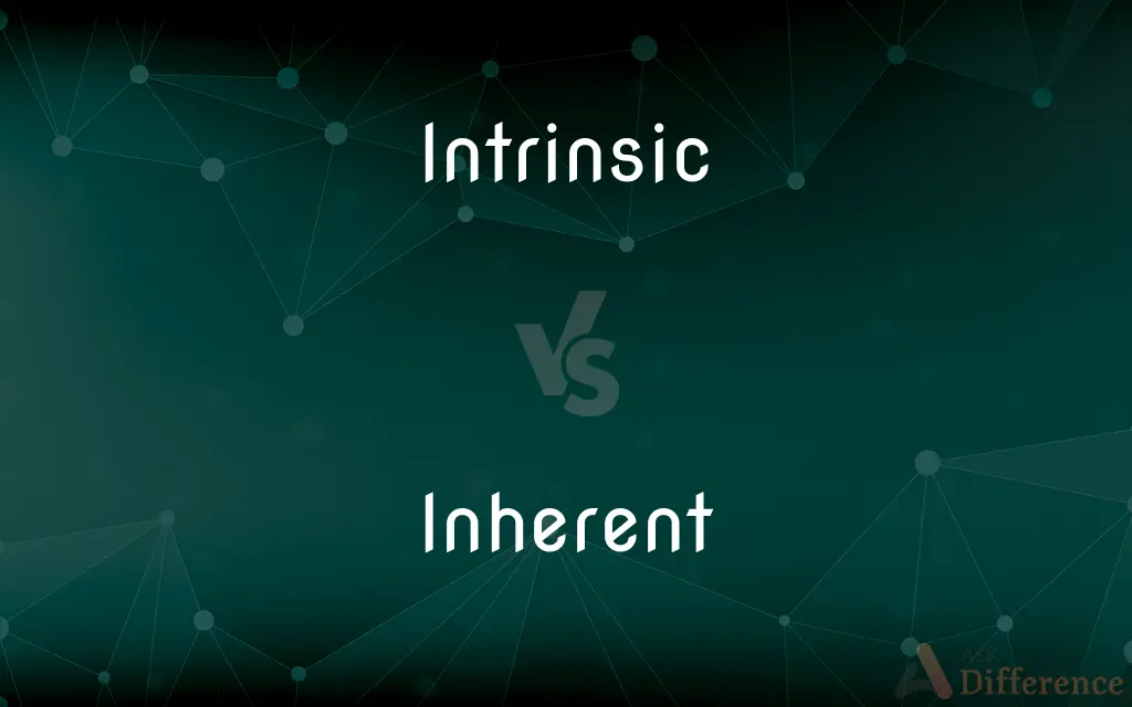Intrinsic vs. Inherent — What's the Difference?