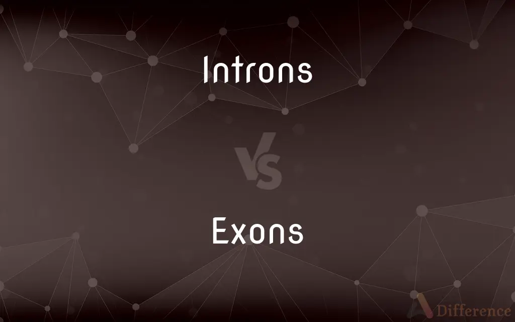 Introns vs. Exons — What's the Difference?