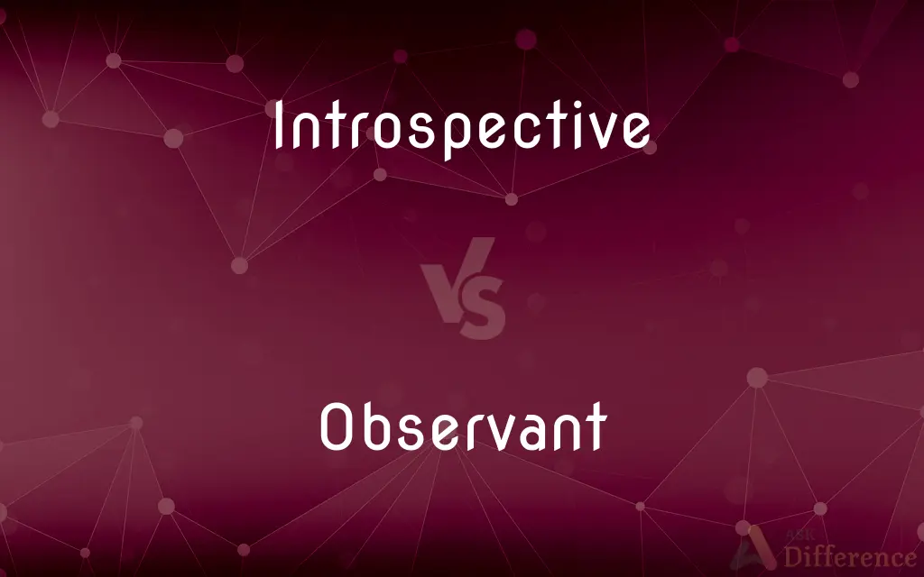 Introspective vs. Observant — What's the Difference?