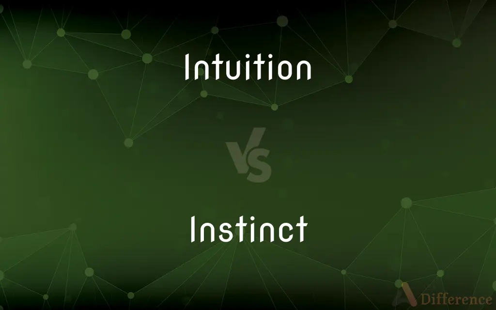 Intuition vs. Instinct — What's the Difference?
