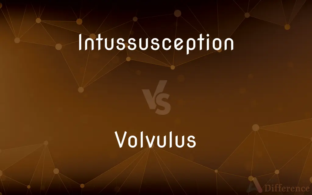 Intussusception vs. Volvulus — What's the Difference?