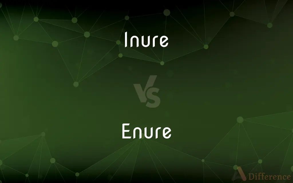 Inure vs. Enure — What's the Difference?