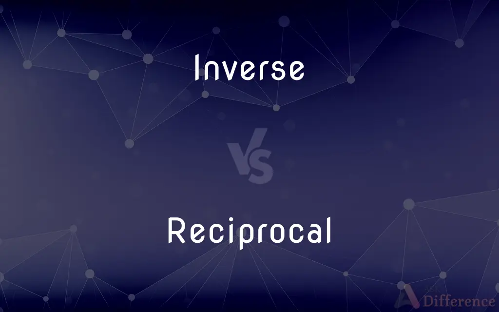 Inverse vs. Reciprocal — What's the Difference?