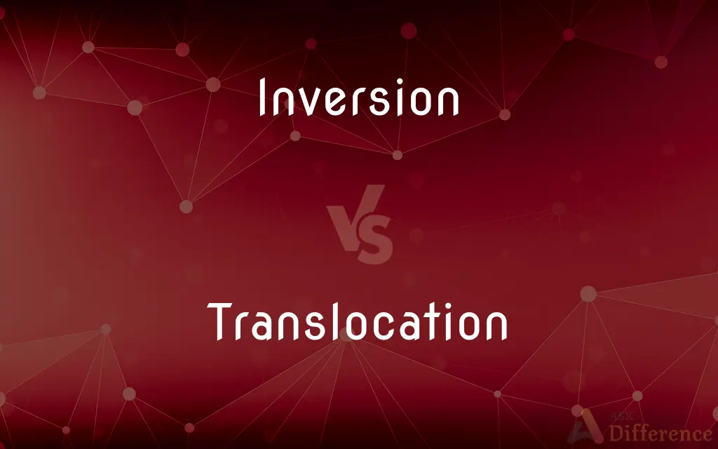 Inversion vs. Translocation — What's the Difference?
