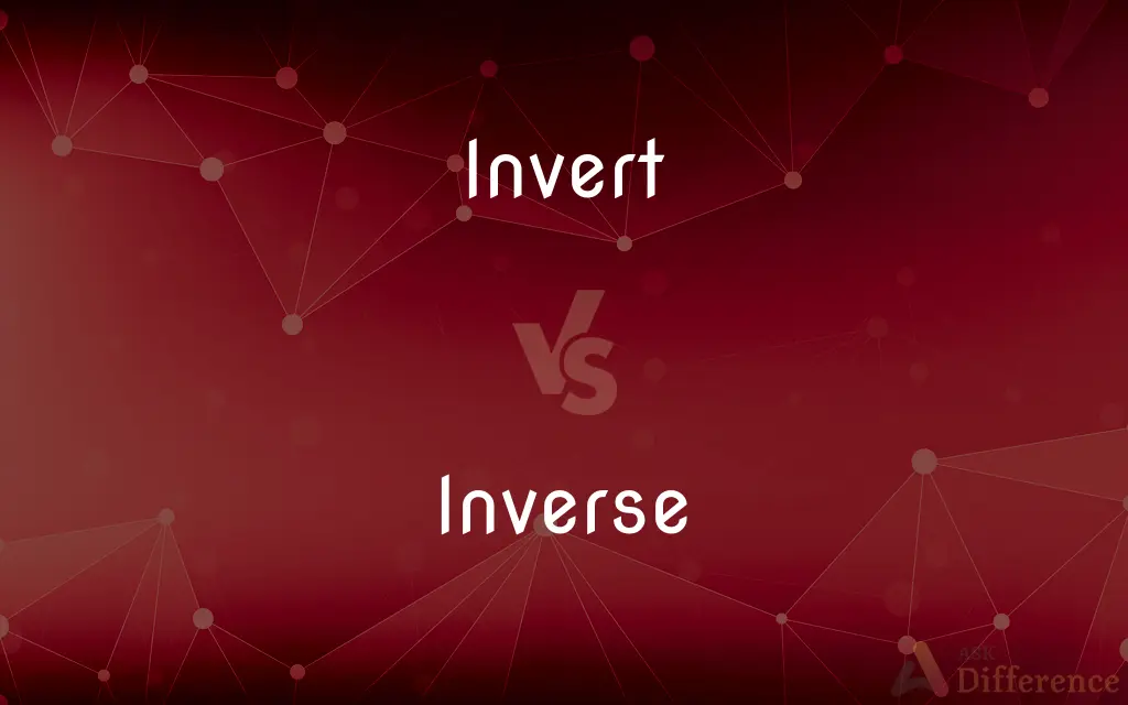 Invert vs. Inverse — What's the Difference?