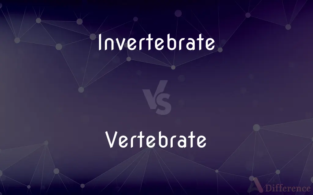 Invertebrate vs. Vertebrate — What's the Difference?