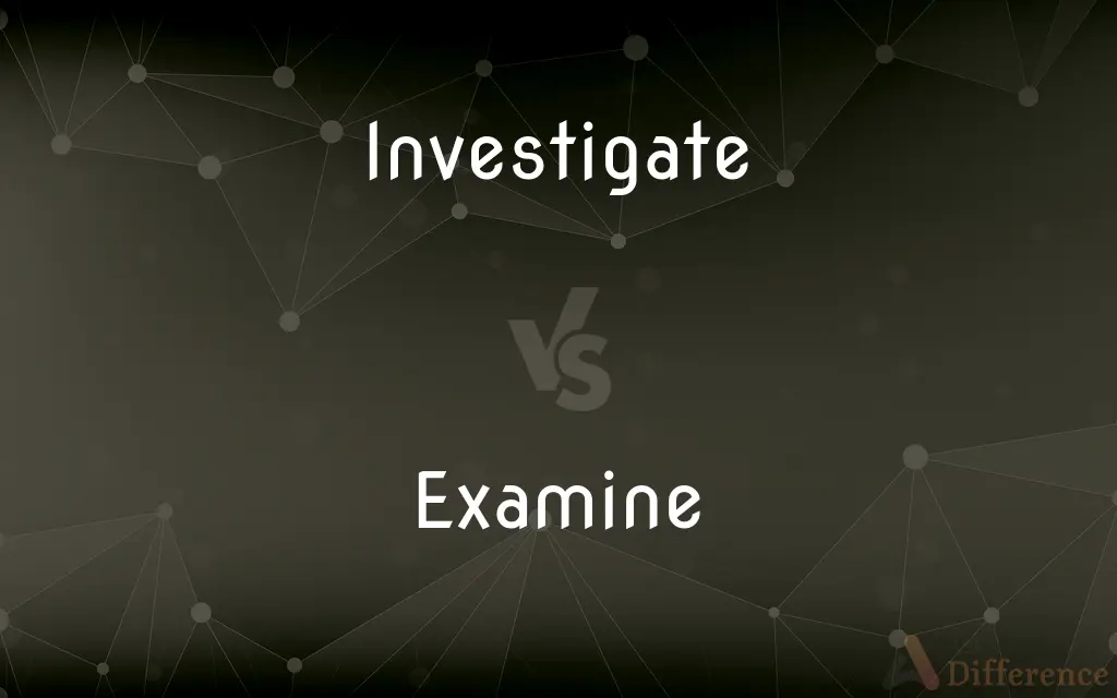 Investigate vs. Examine — What's the Difference?