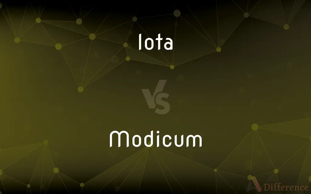 Iota vs. Modicum — What's the Difference?