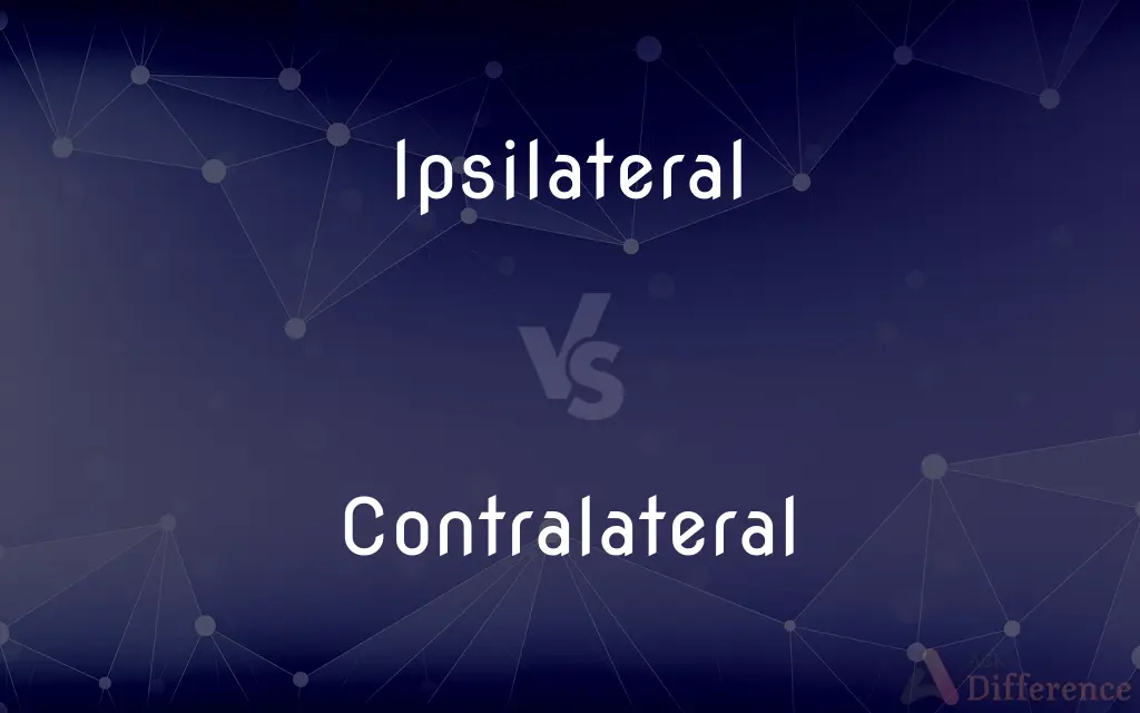 Ipsilateral vs. Contralateral — What's the Difference?