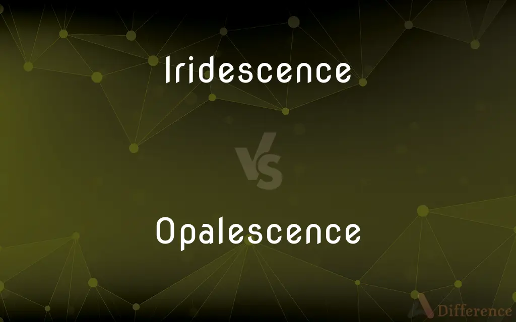 Iridescence vs. Opalescence — What's the Difference?