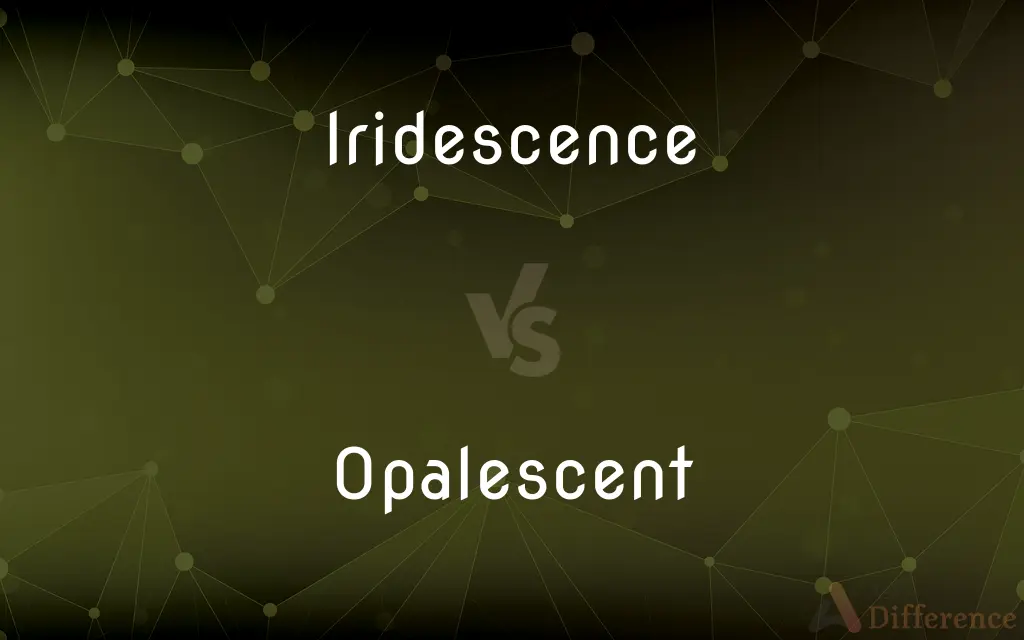Iridescence vs. Opalescent — What's the Difference?