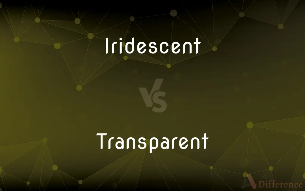Iridescent vs. Transparent — What's the Difference?