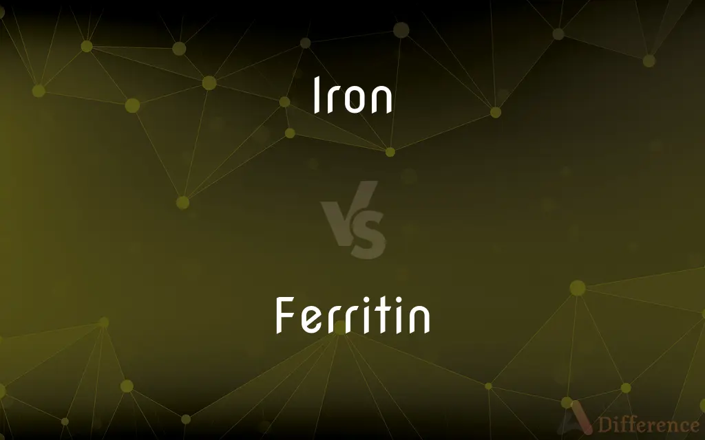 Iron vs. Ferritin — What's the Difference?