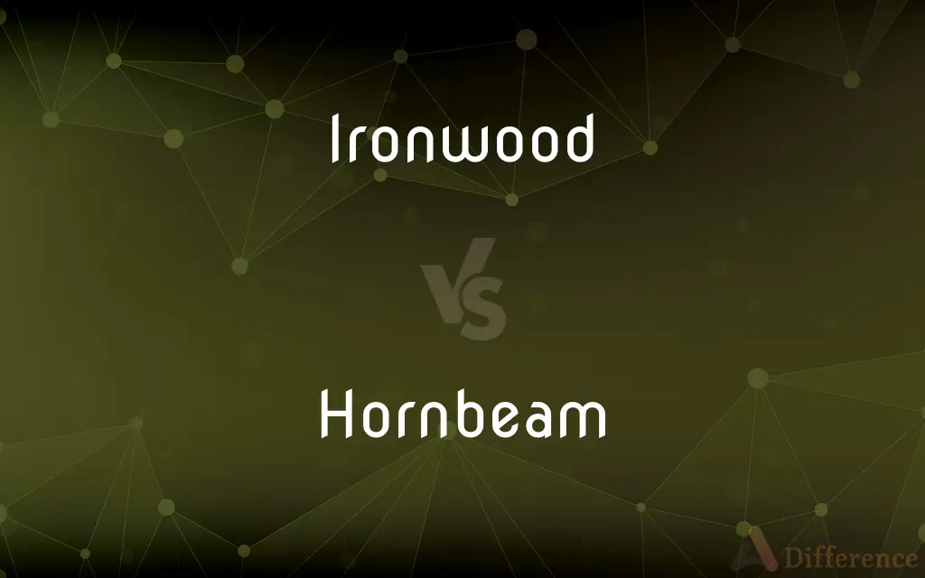 Ironwood vs. Hornbeam — What's the Difference?