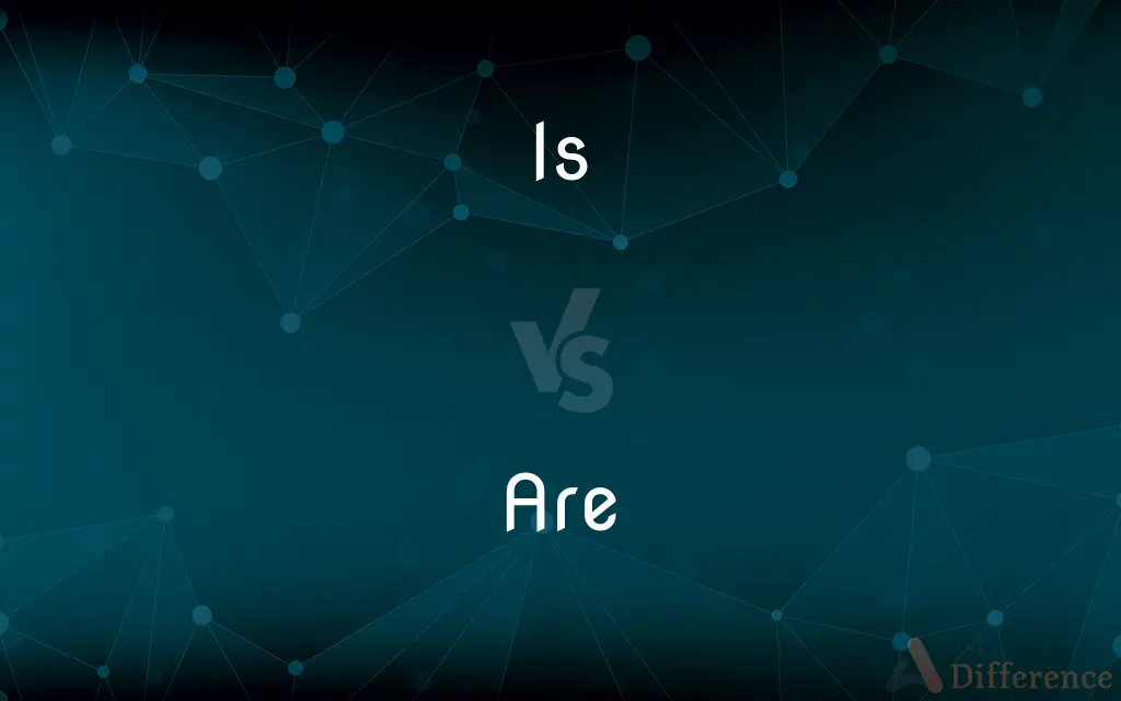 Is vs. Are — What's the Difference?