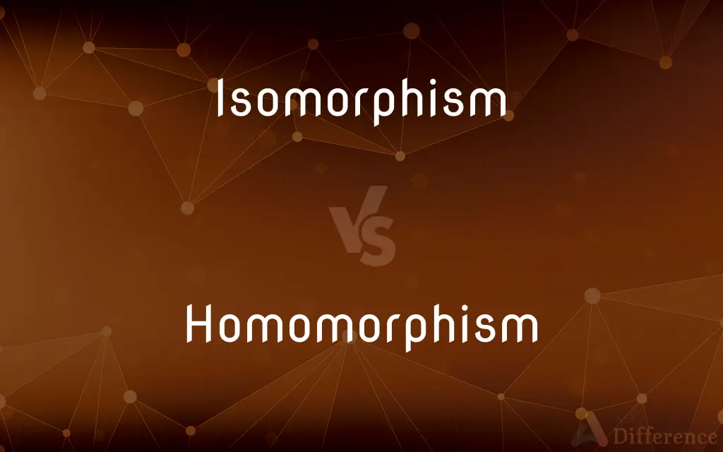 Isomorphism vs. Homomorphism — What's the Difference?