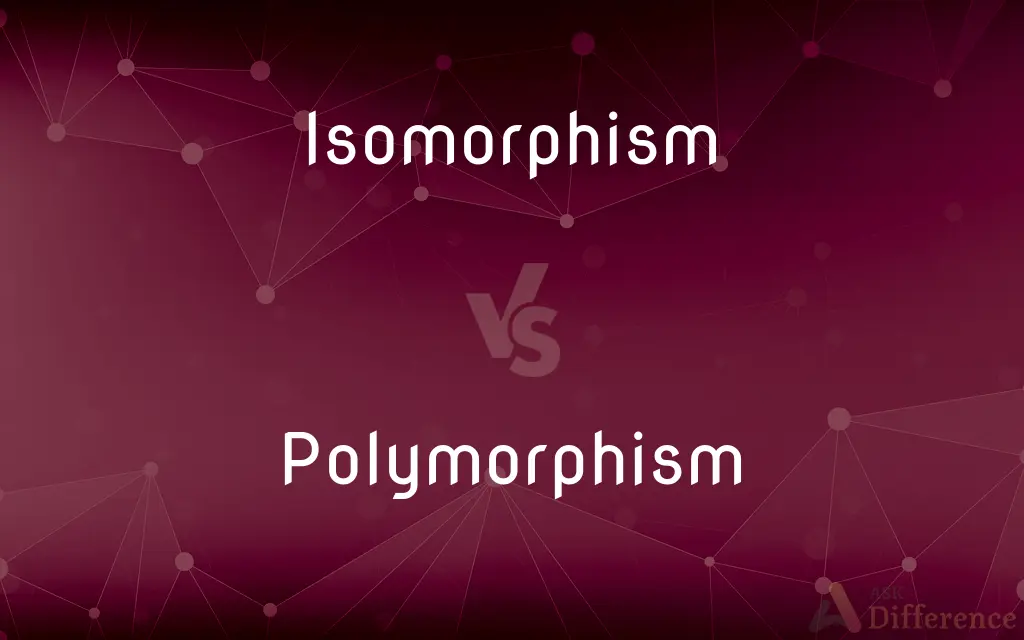 Isomorphism vs. Polymorphism — What's the Difference?