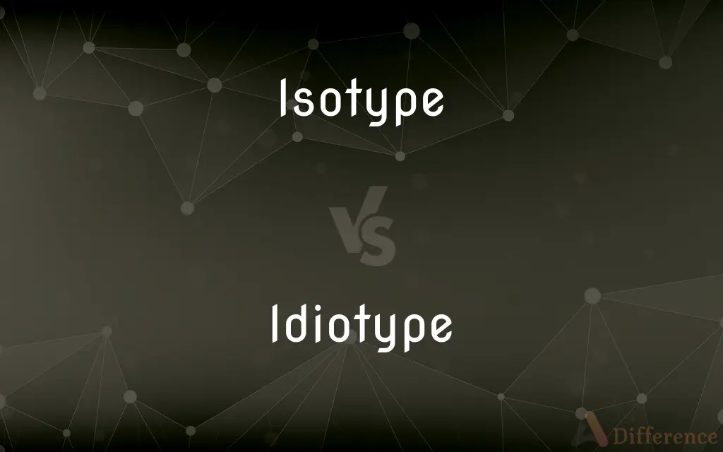 Isotype vs. Idiotype — What's the Difference?