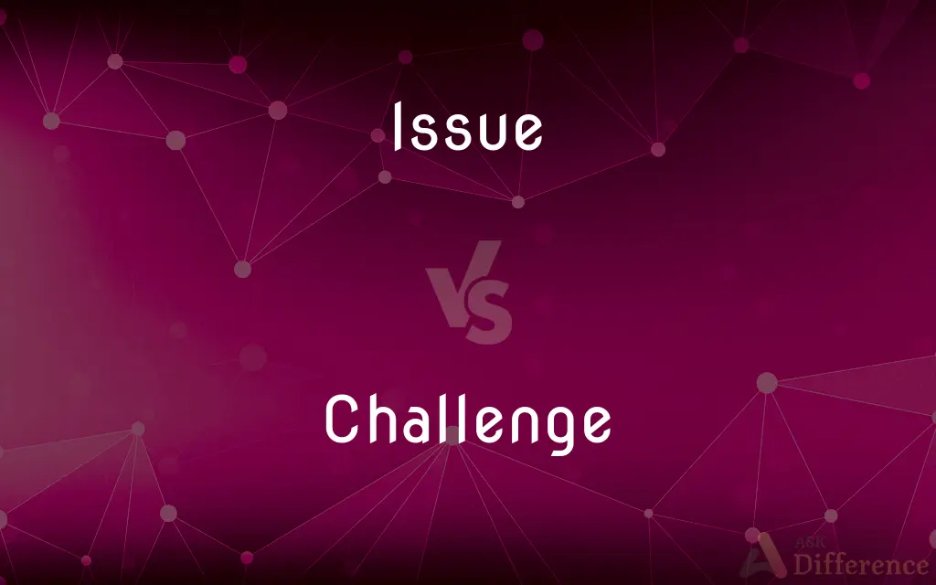 Issue vs. Challenge — What's the Difference?