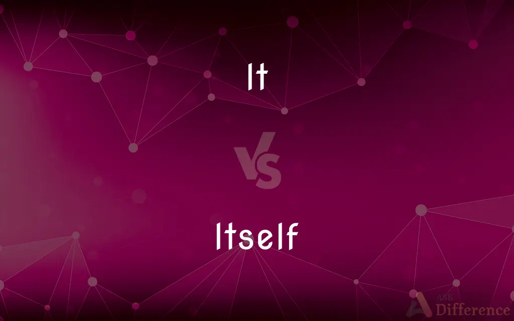 It vs. Itself — What's the Difference?