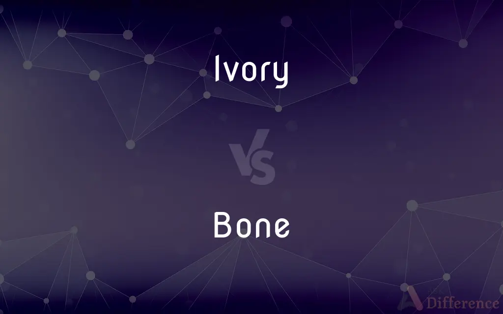 Ivory vs. Bone — What's the Difference?