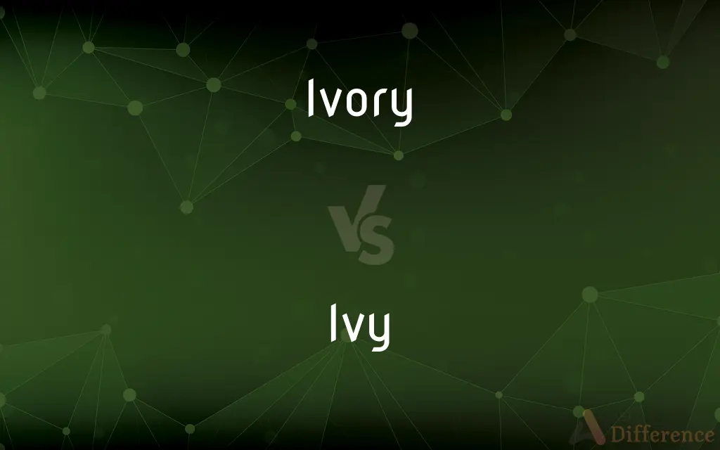 Ivory vs. Ivy — What's the Difference?