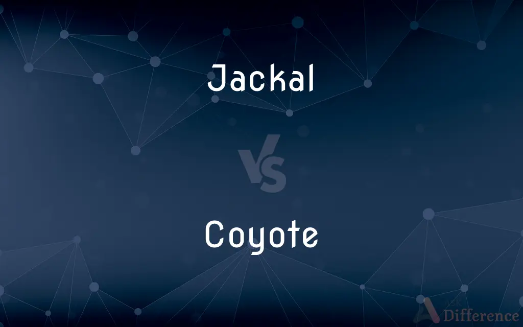 Jackal vs. Coyote — What's the Difference?