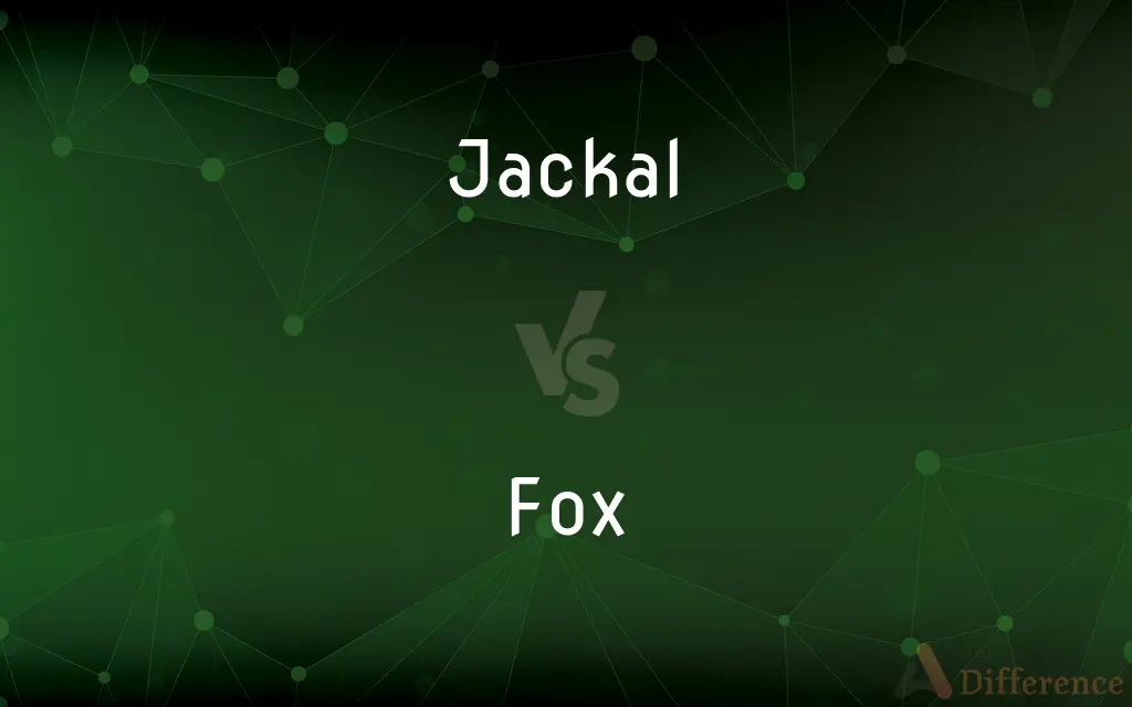 Jackal vs. Fox — What's the Difference?