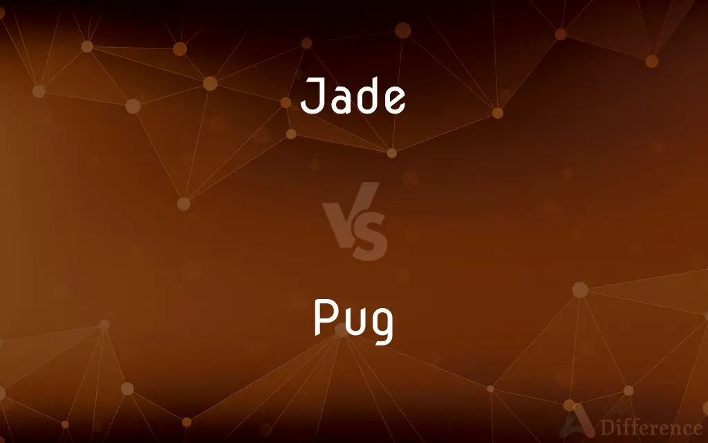 Jade vs. Pug — What's the Difference?