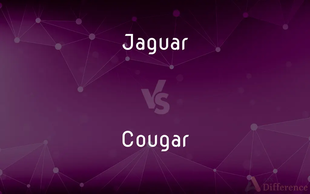 Jaguar vs. Cougar — What's the Difference?