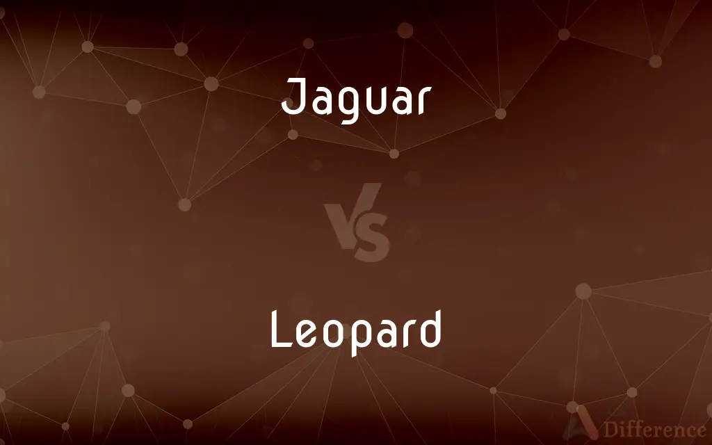Jaguar vs. Leopard — What's the Difference?