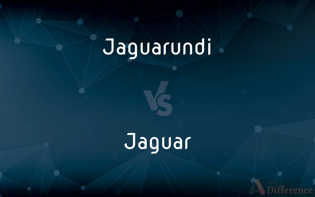 Jaguarundi vs. Jaguar