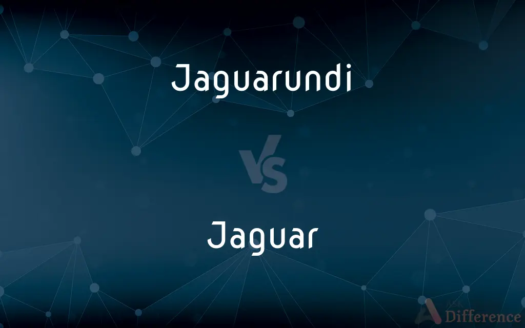 Jaguarundi vs. Jaguar — What's the Difference?