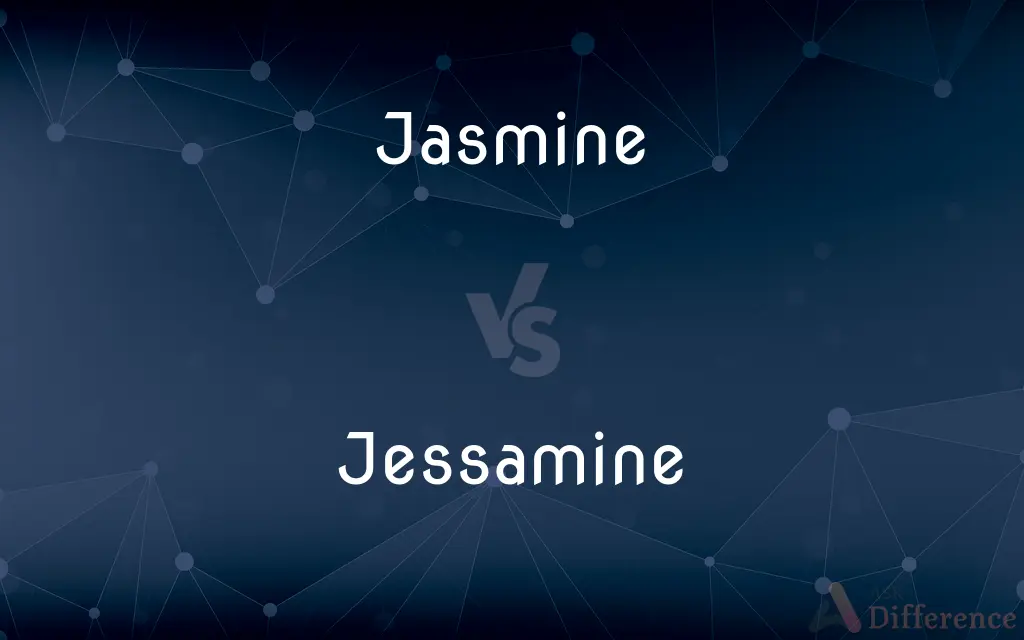 Jasmine vs. Jessamine — What's the Difference?
