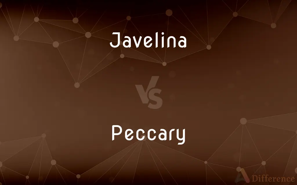 Javelina vs. Peccary — What's the Difference?