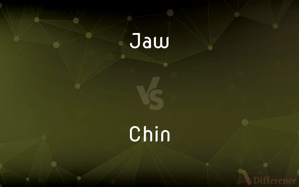 Jaw vs. Chin — What's the Difference?